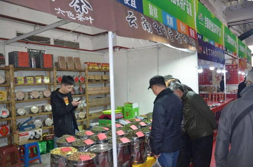 忆2019年上半年的部分展会,展会盛况 恍如昨天